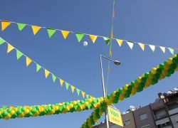 Balon ve Bayrak Süsleme İzmir